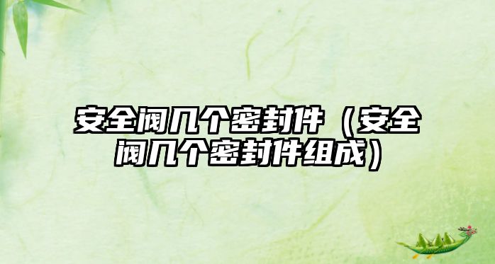 安全閥幾個(gè)密封件（安全閥幾個(gè)密封件組成）