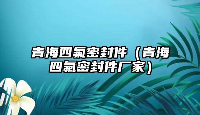 青海四氟密封件（青海四氟密封件廠家）