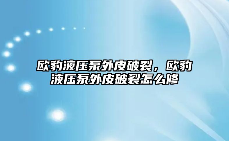 歐豹液壓泵外皮破裂，歐豹液壓泵外皮破裂怎么修