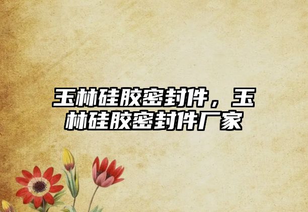 玉林硅膠密封件，玉林硅膠密封件廠家