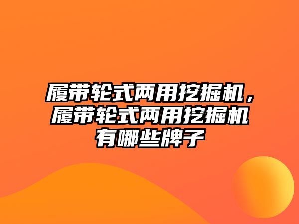 履帶輪式兩用挖掘機，履帶輪式兩用挖掘機有哪些牌子