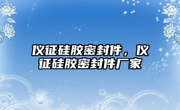 儀征硅膠密封件，儀征硅膠密封件廠家