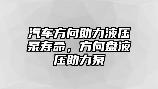 汽車方向助力液壓泵壽命，方向盤液壓助力泵