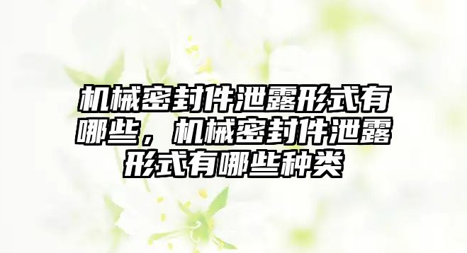 機械密封件泄露形式有哪些，機械密封件泄露形式有哪些種類