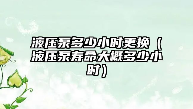 液壓泵多少小時更換（液壓泵壽命大概多少小時）