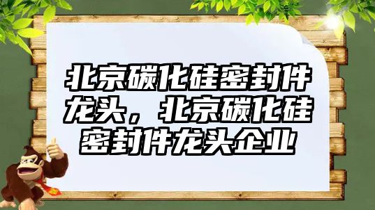 北京碳化硅密封件龍頭，北京碳化硅密封件龍頭企業(yè)