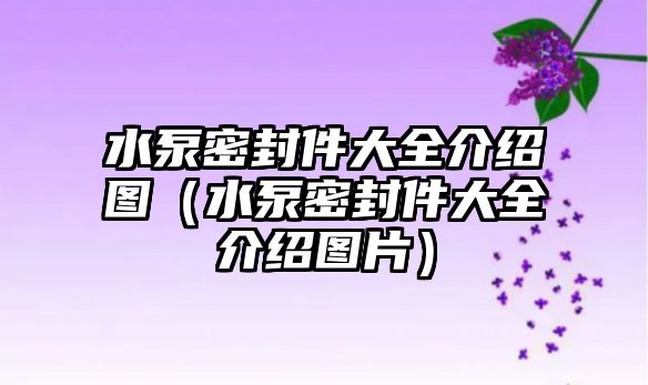 水泵密封件大全介紹圖（水泵密封件大全介紹圖片）