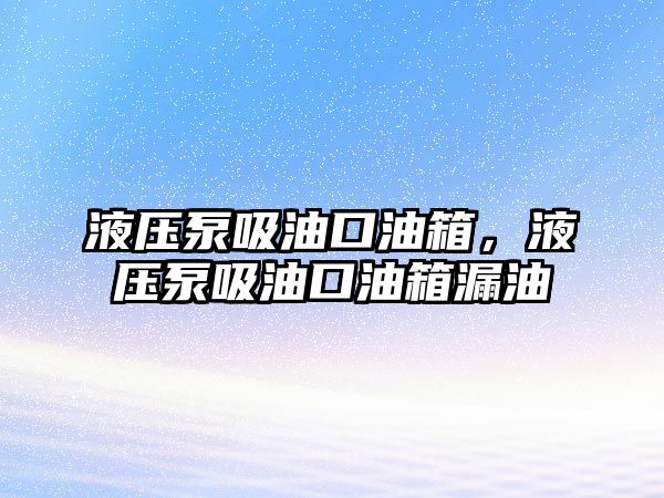 液壓泵吸油口油箱，液壓泵吸油口油箱漏油