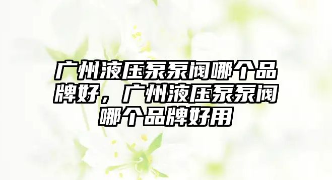 廣州液壓泵泵閥哪個(gè)品牌好，廣州液壓泵泵閥哪個(gè)品牌好用