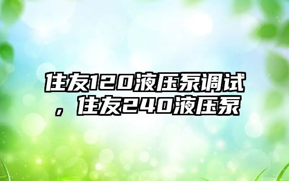 住友120液壓泵調(diào)試，住友240液壓泵