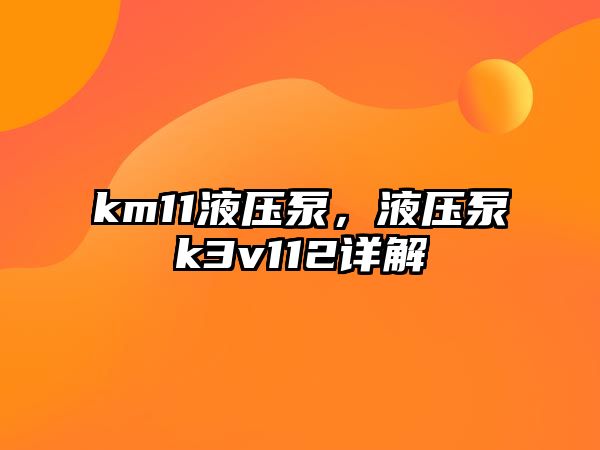 km11液壓泵，液壓泵k3v112詳解