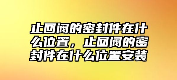 止回閥的密封件在什么位置，止回閥的密封件在什么位置安裝