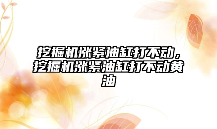 挖掘機漲緊油缸打不動，挖掘機漲緊油缸打不動黃油