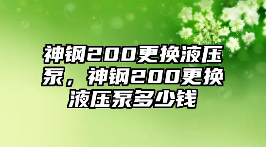 神鋼200更換液壓泵，神鋼200更換液壓泵多少錢