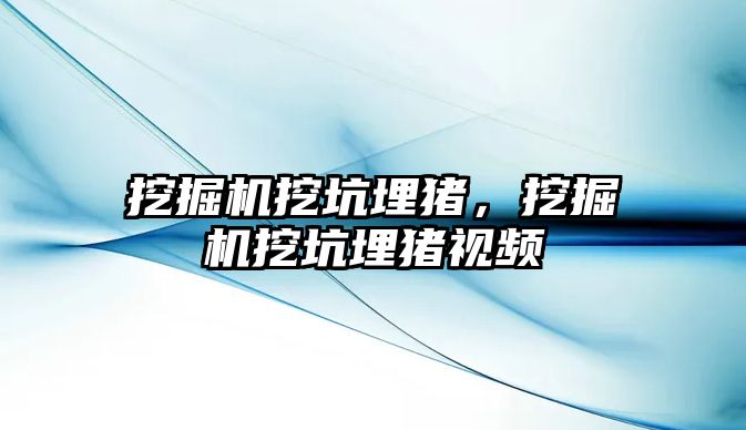 挖掘機挖坑埋豬，挖掘機挖坑埋豬視頻