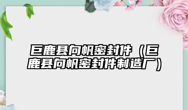 巨鹿縣向帆密封件（巨鹿縣向帆密封件制造廠）