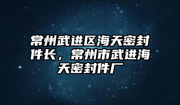 常州武進區(qū)海天密封件長，常州市武進海天密封件廠