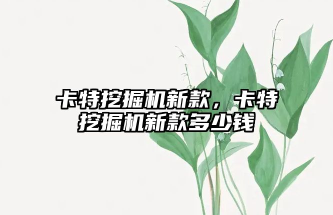 卡特挖掘機新款，卡特挖掘機新款多少錢