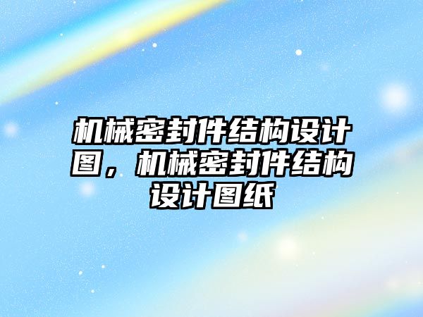 機械密封件結(jié)構(gòu)設(shè)計圖，機械密封件結(jié)構(gòu)設(shè)計圖紙