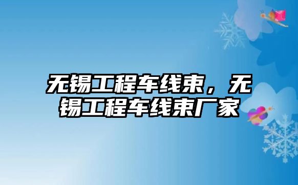 無錫工程車線束，無錫工程車線束廠家