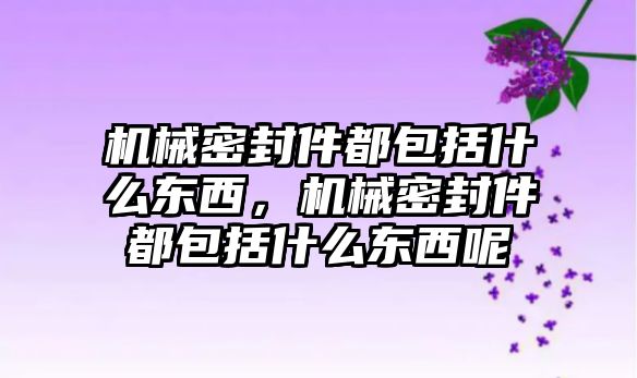 機(jī)械密封件都包括什么東西，機(jī)械密封件都包括什么東西呢