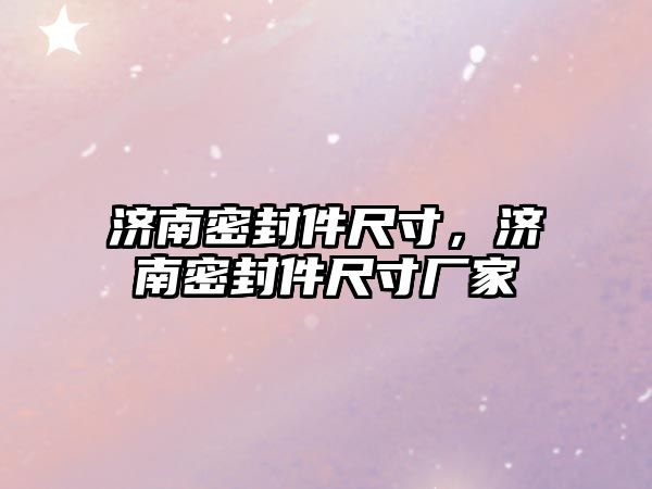 濟南密封件尺寸，濟南密封件尺寸廠家