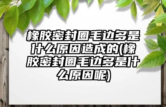 橡膠密封圈毛邊多是什么原因造成的(橡膠密封圈毛邊多是什么原因呢)