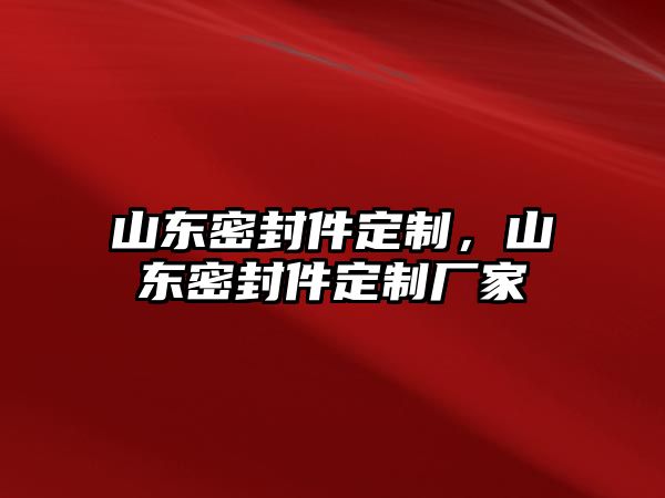 山東密封件定制，山東密封件定制廠家