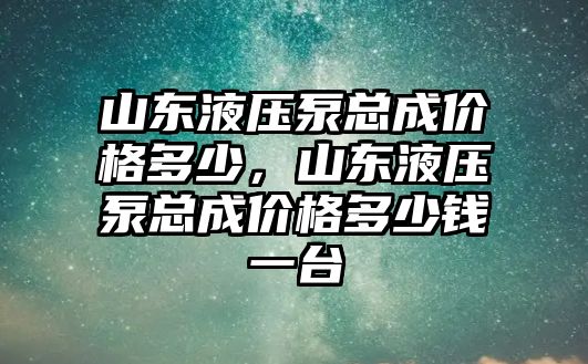 山東液壓泵總成價格多少，山東液壓泵總成價格多少錢一臺