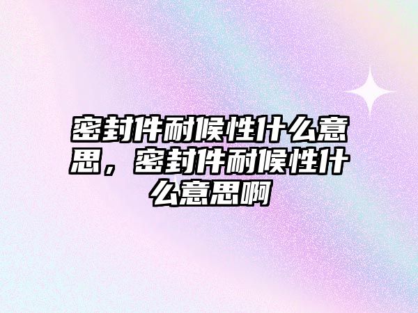 密封件耐候性什么意思，密封件耐候性什么意思啊