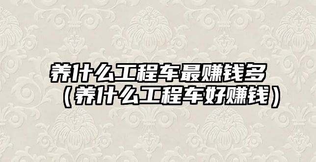 養(yǎng)什么工程車最賺錢多（養(yǎng)什么工程車好賺錢）