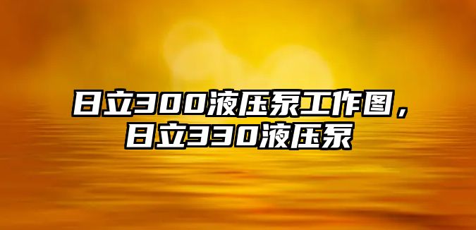 日立300液壓泵工作圖，日立330液壓泵