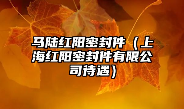 馬陸紅陽密封件（上海紅陽密封件有限公司待遇）