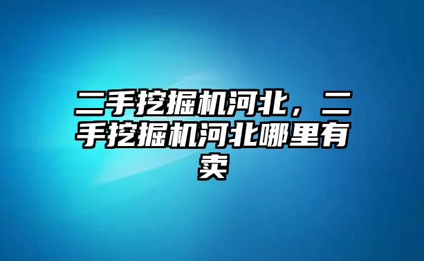 二手挖掘機河北，二手挖掘機河北哪里有賣