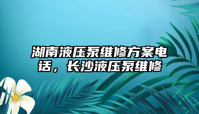 湖南液壓泵維修方案電話，長沙液壓泵維修