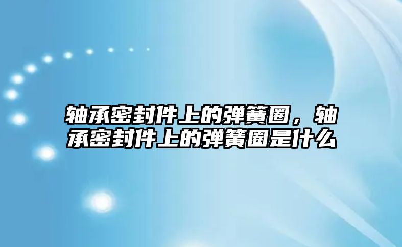 軸承密封件上的彈簧圈，軸承密封件上的彈簧圈是什么