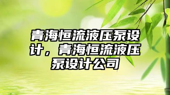 青海恒流液壓泵設(shè)計，青海恒流液壓泵設(shè)計公司