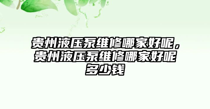 貴州液壓泵維修哪家好呢，貴州液壓泵維修哪家好呢多少錢