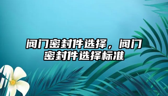 閥門密封件選擇，閥門密封件選擇標準