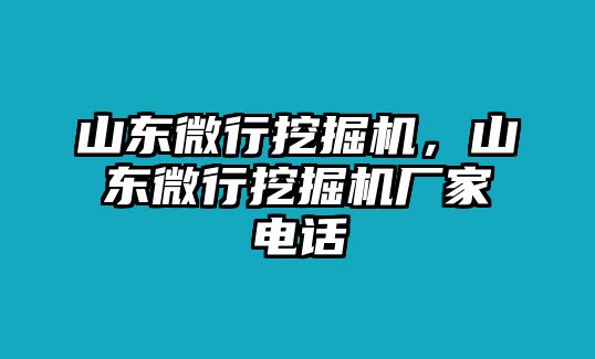 山東微行挖掘機，山東微行挖掘機廠家電話