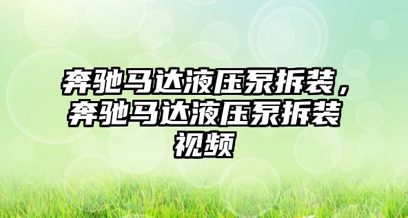 奔馳馬達液壓泵拆裝，奔馳馬達液壓泵拆裝視頻