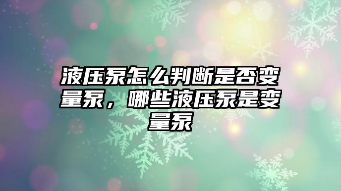 液壓泵怎么判斷是否變量泵，哪些液壓泵是變量泵