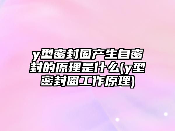 y型密封圈產(chǎn)生自密封的原理是什么(y型密封圈工作原理)