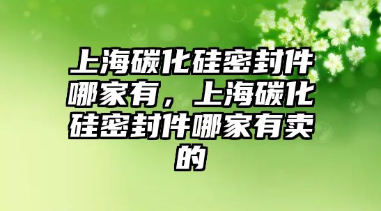 上海碳化硅密封件哪家有，上海碳化硅密封件哪家有賣的