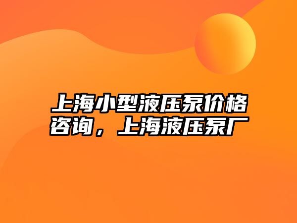 上海小型液壓泵價格咨詢，上海液壓泵廠