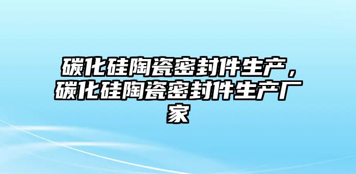 碳化硅陶瓷密封件生產(chǎn)，碳化硅陶瓷密封件生產(chǎn)廠家