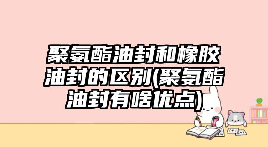 聚氨酯油封和橡膠油封的區(qū)別(聚氨酯油封有啥優(yōu)點)