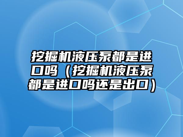 挖掘機液壓泵都是進(jìn)口嗎（挖掘機液壓泵都是進(jìn)口嗎還是出口）