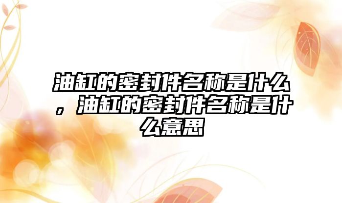 油缸的密封件名稱是什么，油缸的密封件名稱是什么意思