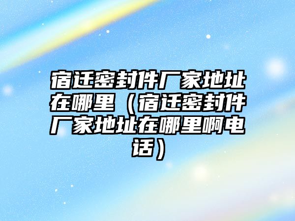 宿遷密封件廠家地址在哪里（宿遷密封件廠家地址在哪里啊電話）